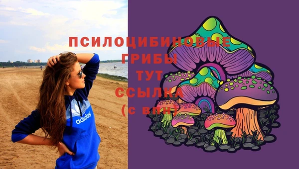 крисы Аркадак