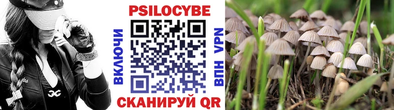 Галлюциногенные грибы мицелий Соль-Илецк