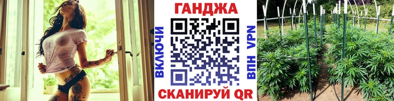 Бошки Шишки конопля  купить наркоту  мега маркетплейс  Соль-Илецк 